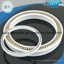 Ring Lip / Spring-Loaded / U-Shaped Seal Metal Variseal